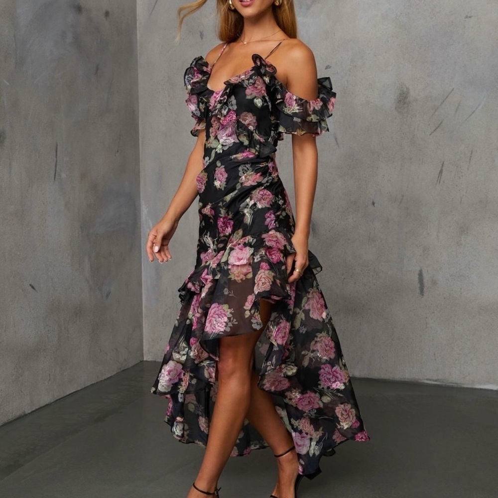 Chelsea Flora Print Ruffle Dress Vici Collection NWT